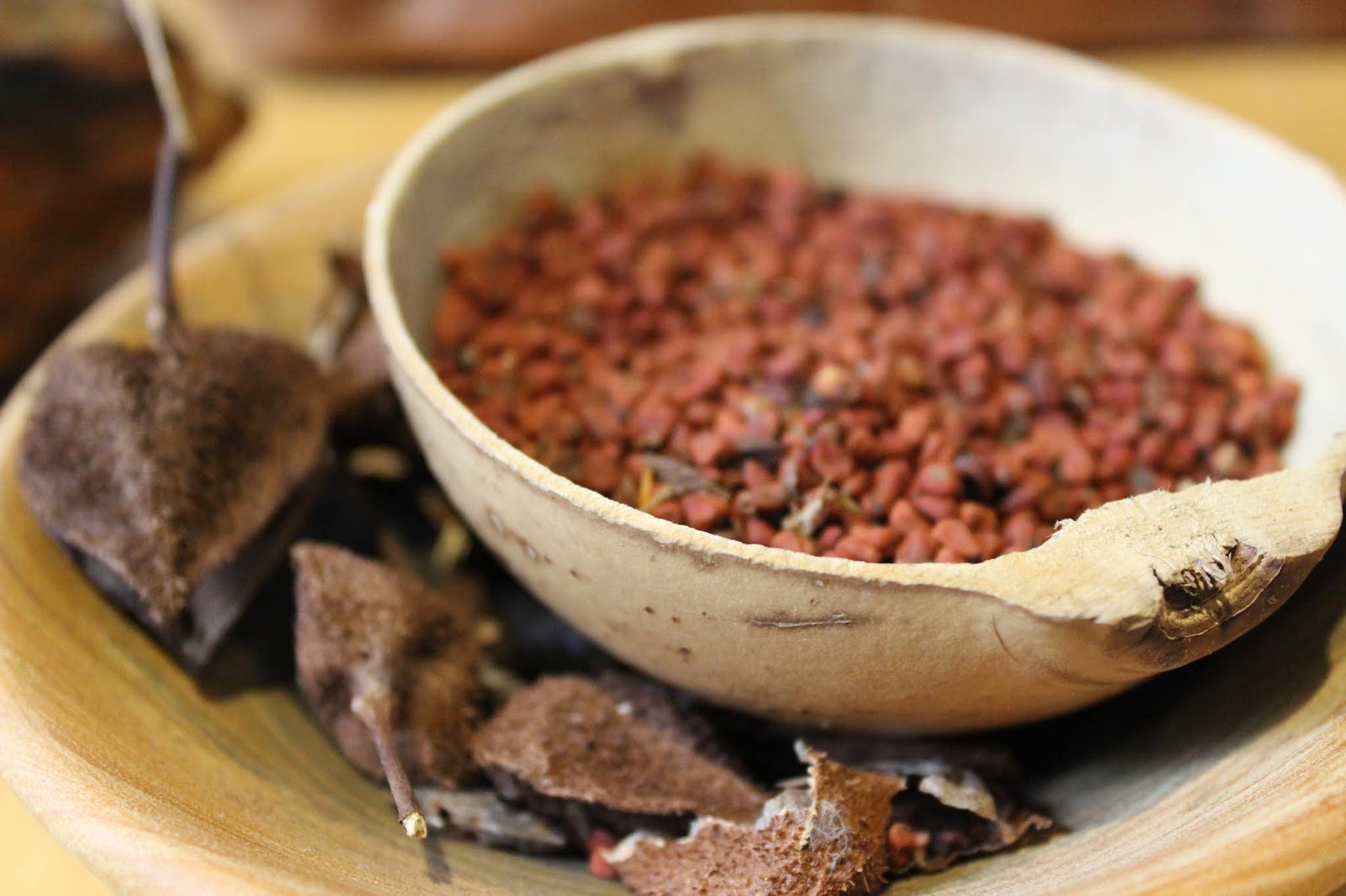 Ingredientes de los recados yucatecos, antes de la molienda