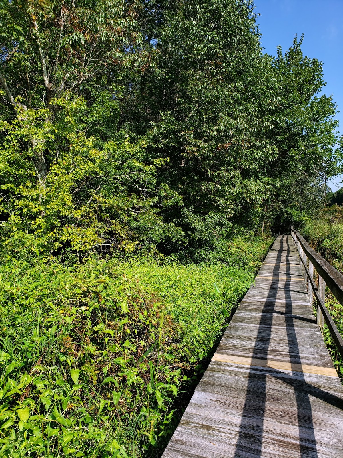 MidAtlantic DayTrips Hiking in Historic Pemberton Park
