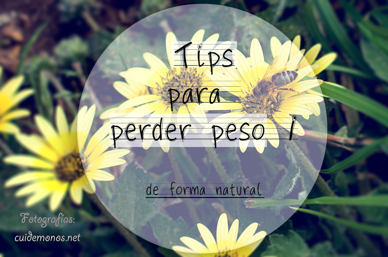 Tips para perder peso