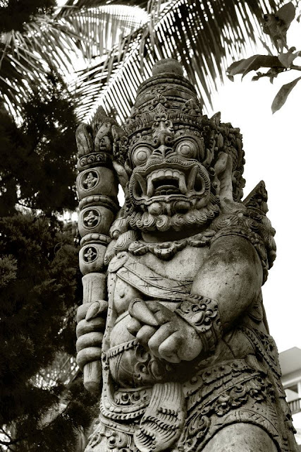 The black and white bali photography by nadine friedman