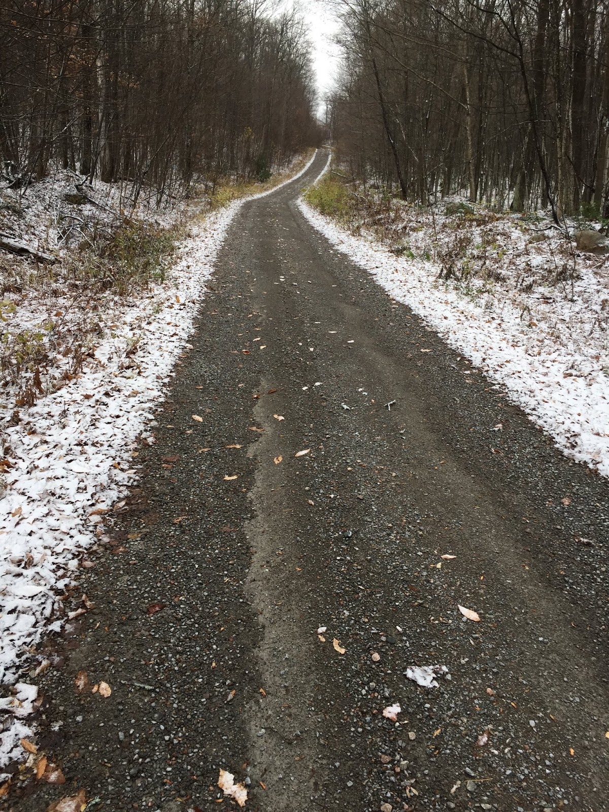 Elephantlaker First snow dusting