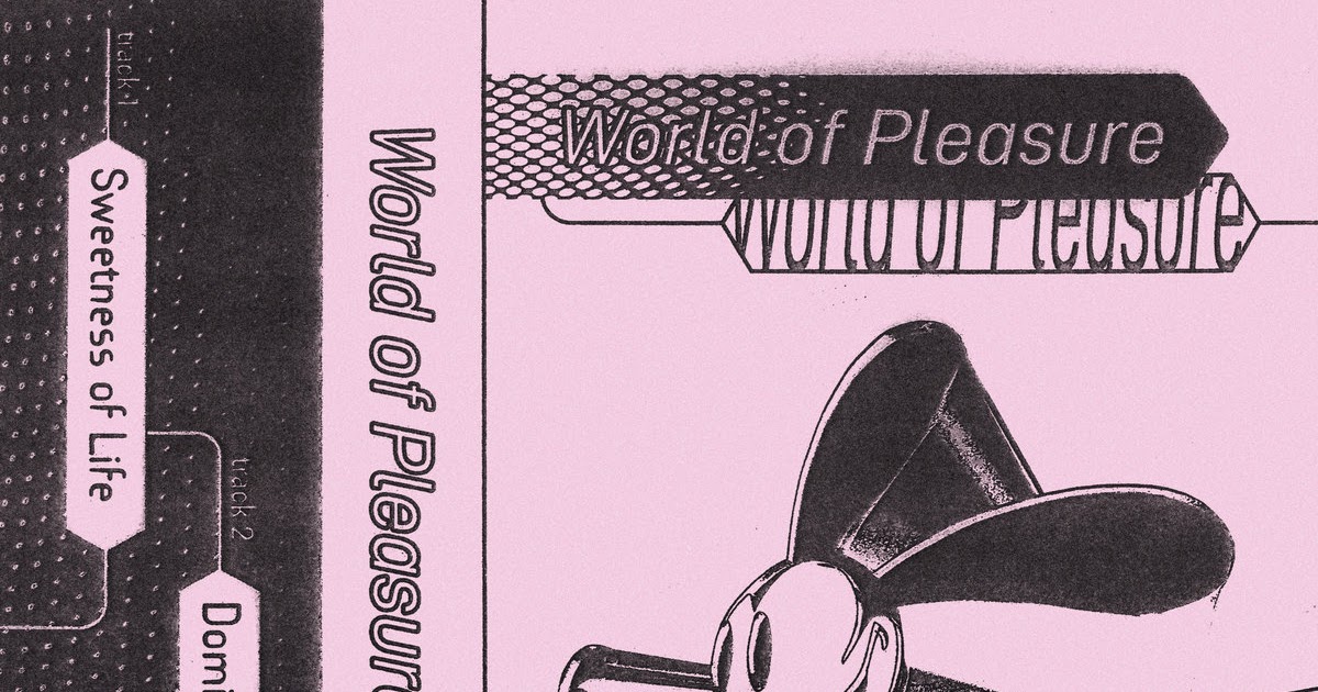 I Thought I Heard A Sound Album Review World of Pleasure