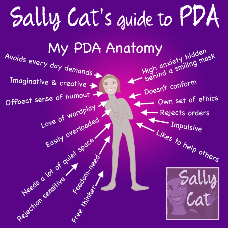 Sally Cat PDA How PDA avoidance is different from other types of
