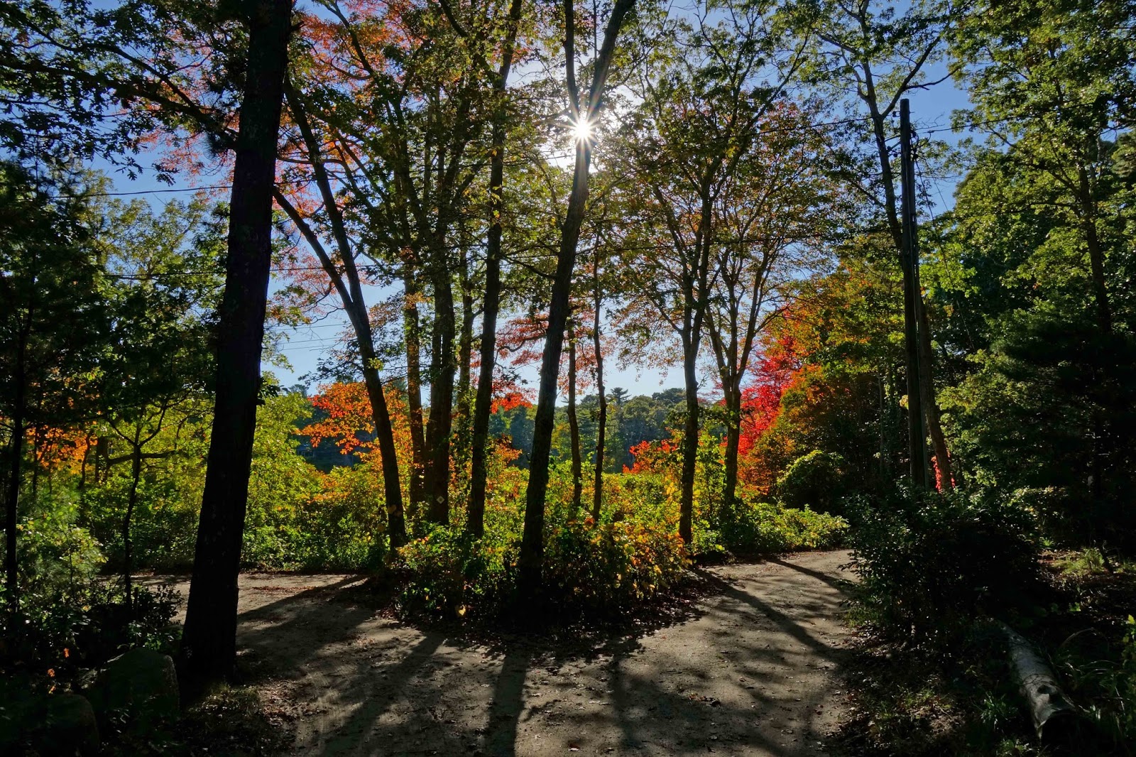 Joe's Retirement Blog Rabbit Pond Revisited, Manomet, Plymouth
