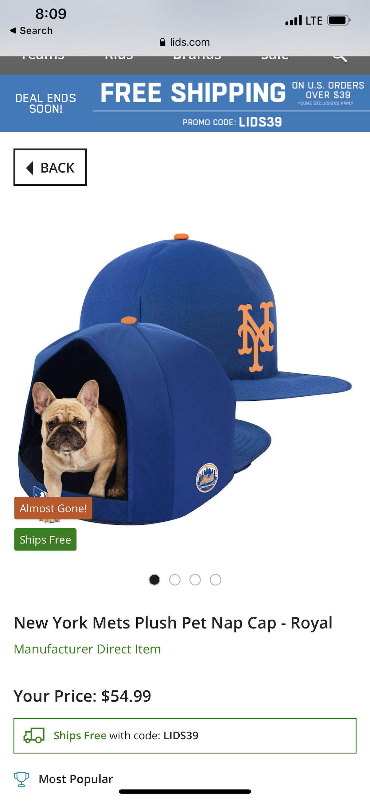 @Mets Ball cap doghouse