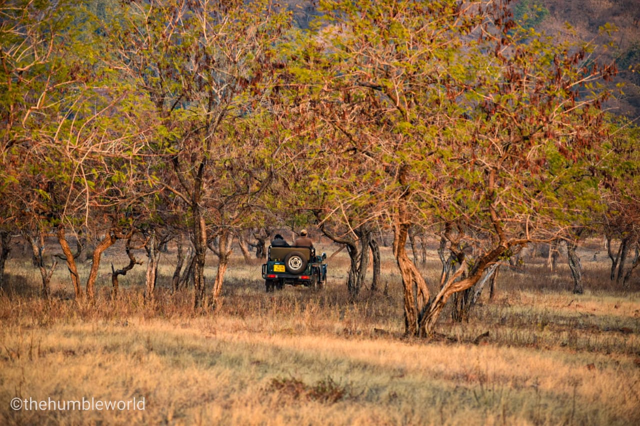 Closest Airport To Ranthambore National Park www.thehumbleworld.com