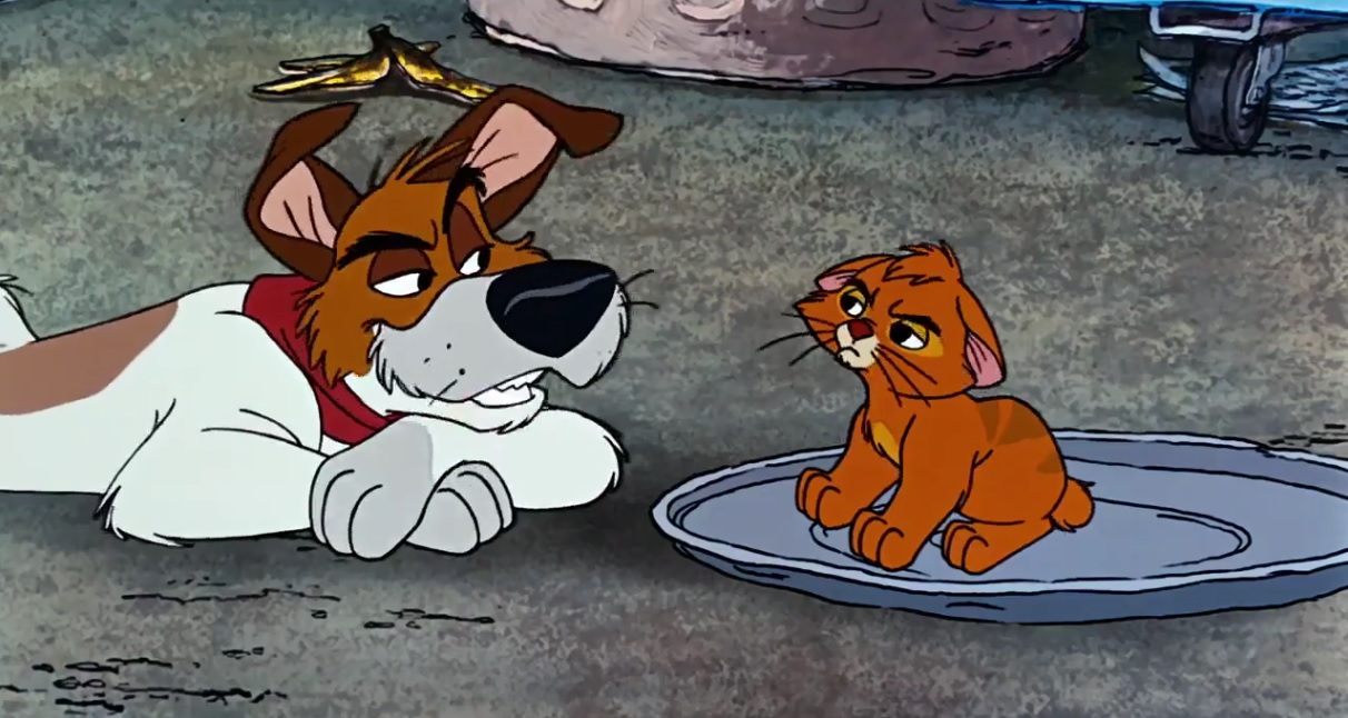 The Spirochaete Trail: Oliver & Company (aka Reviewing The Situation)