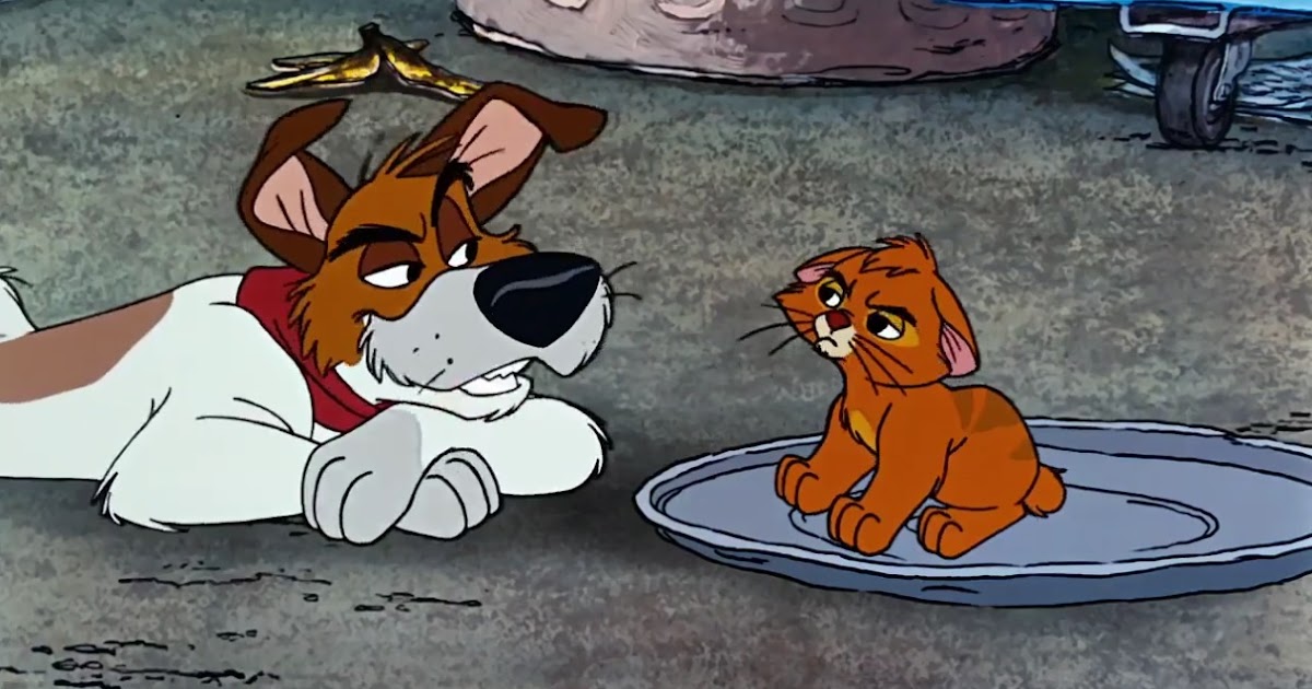 The Spirochaete Trail: Oliver & Company (aka Reviewing The Situation)