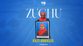 New Audio|Zuchu-Kazi Iendelee|Download Official Mp3 