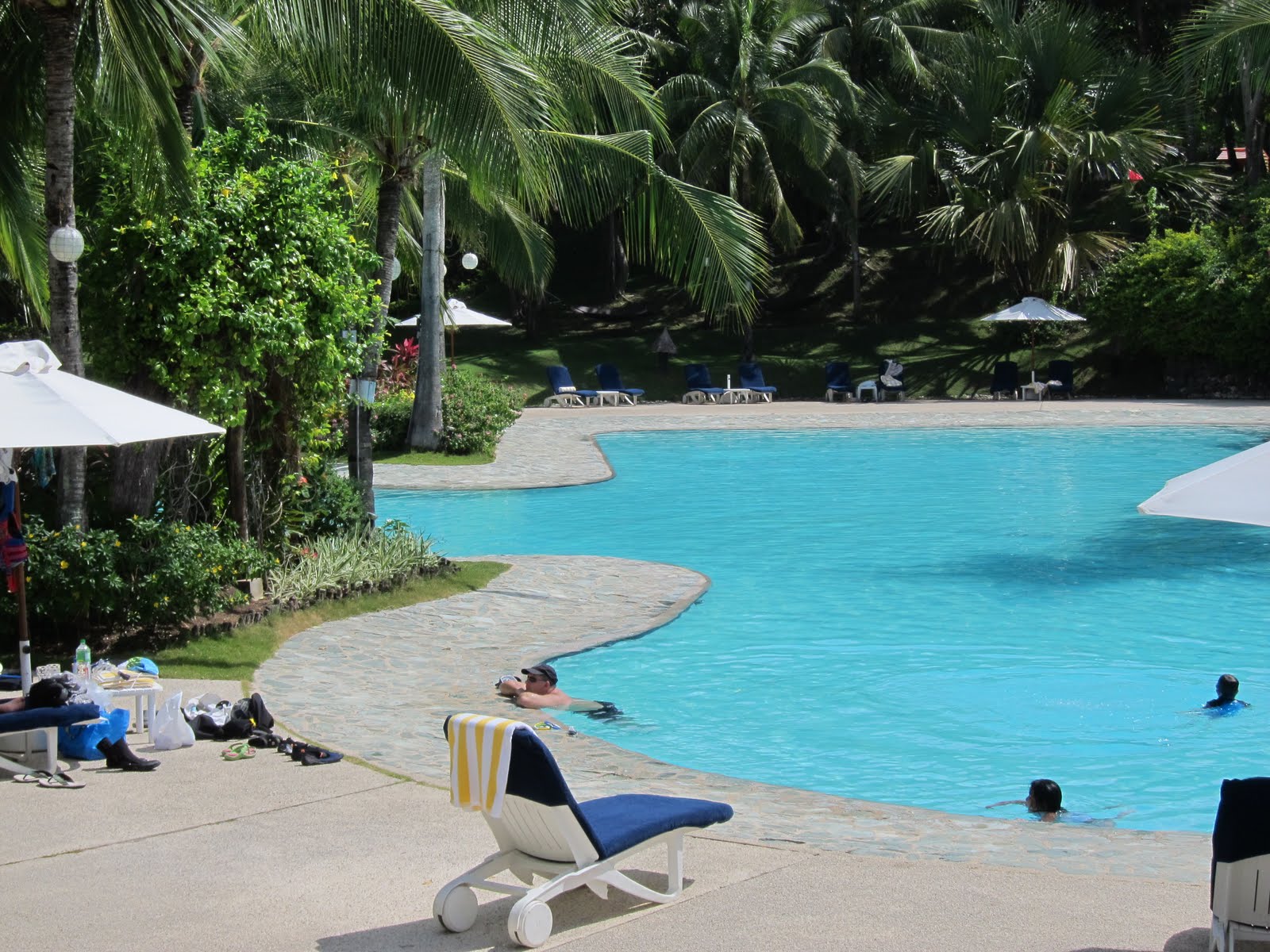 adibirdy: Alegre Resort, Cebu