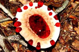    Hydnellum peckii     