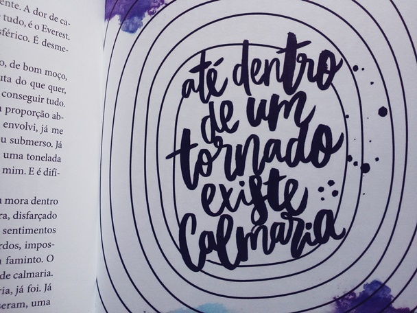 No meio do caminho tinha um amor - quote Foto Vanessa Vieira, blog Um baixinho nos livros, crônicas, Romance, No meio do caminho tinha um amor, livro, quotes