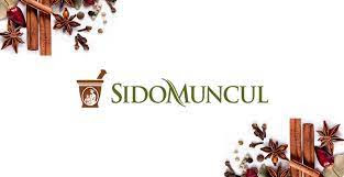 investasimu.com interim dividend 2021 sido muncul