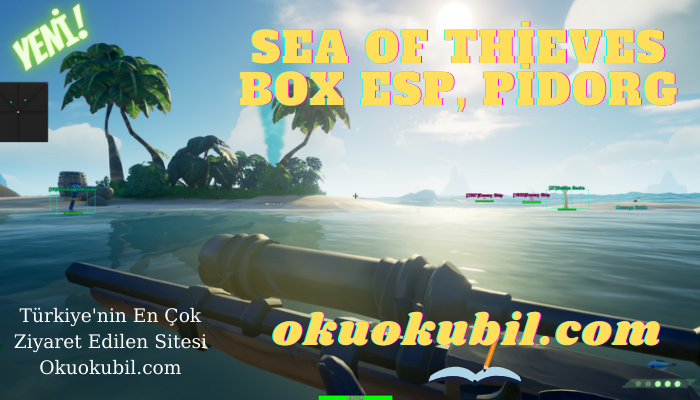 Sea of Thieves v20.4 Box ESP, PidorG, Tracelines, Healthbar ESP Hileli İndir