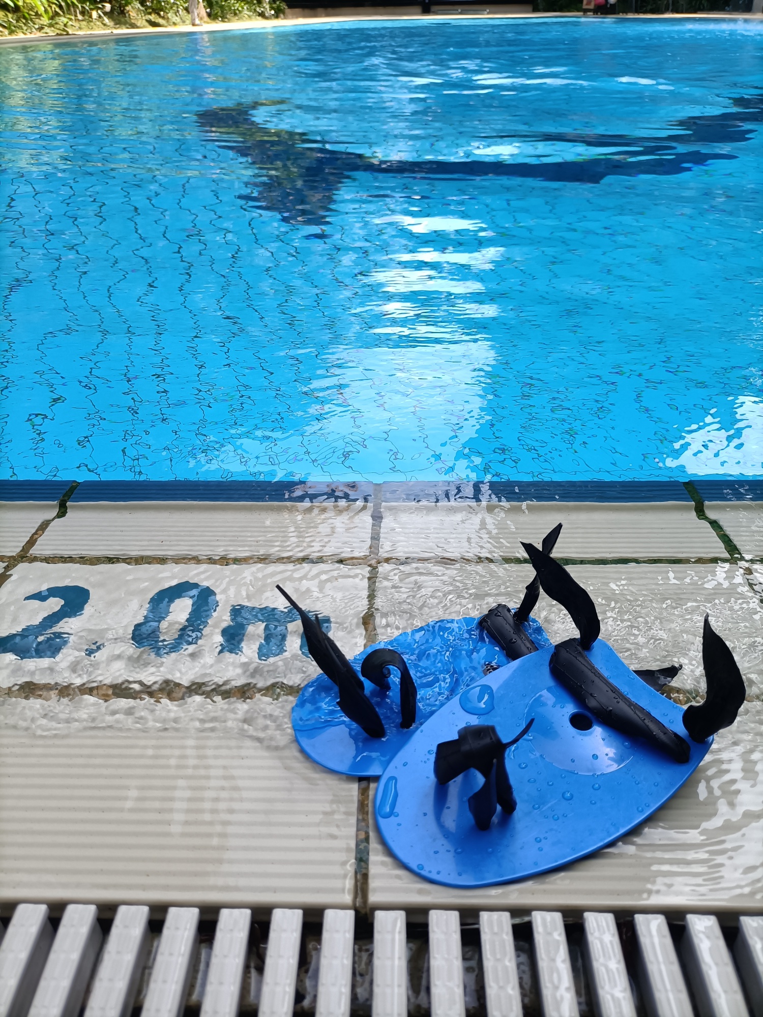 Oceanic Swim The Starting Point For Swimmers Hand paddles are most