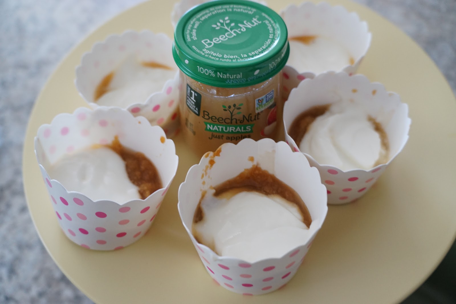 beech nut vanilla custard pudding