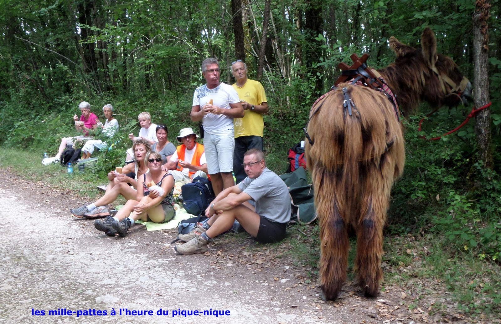 LES MILLEPATTES DE SAINTONGE ASINERIE DE DAMPIERRESURBOUTONNE (17) JOURNÉE RANDOPIQUE
