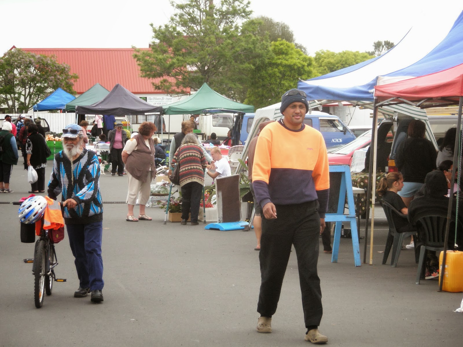 Arty Green in Paradise Kaitaia Small Town NZ