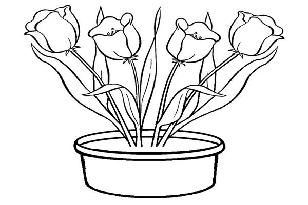 gambar mewarnai bunga pot