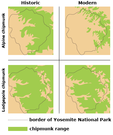 Yosemite: Yosemite National Park