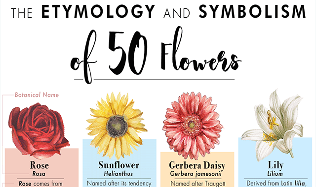 The Etymology and Symbolism of 50 Flowers 
