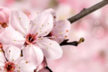 Alasan Mengapa Persahabatan Sangat Penting