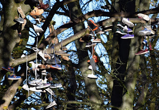A close up picture of some of the shoes in The Armstrong Park Shoe Tree