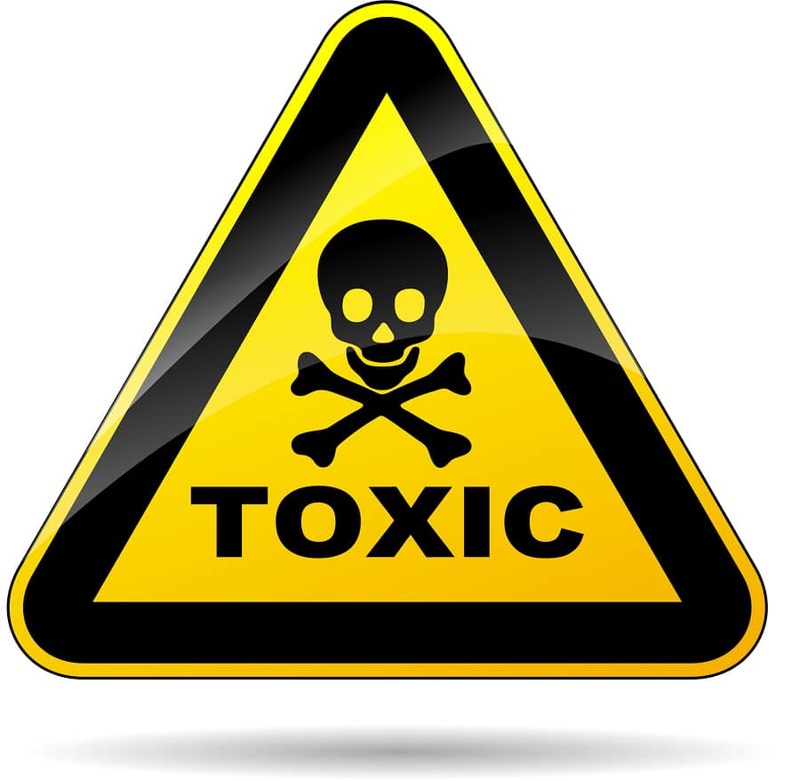 When Nobody s Watching Toxic When Nobody s Watching Toxic