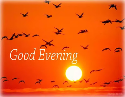 good evening images for whatsapp download,good evening images Free download for whatsapp good evening images for whatsapp download,good evening images Free download for whatsapp