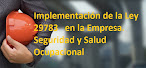 CURSO: Implementación de la  Seguridad y Salud en el Trabajo. Ley 29783.