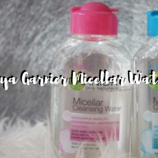 Praktisnya Garnier Micellar Water