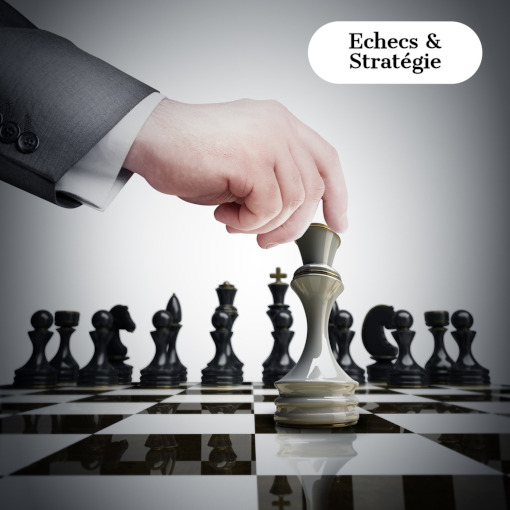 Ebook Lecons de strategie aux echecs