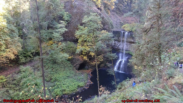 Lower South Falls in Silver Falls State Park