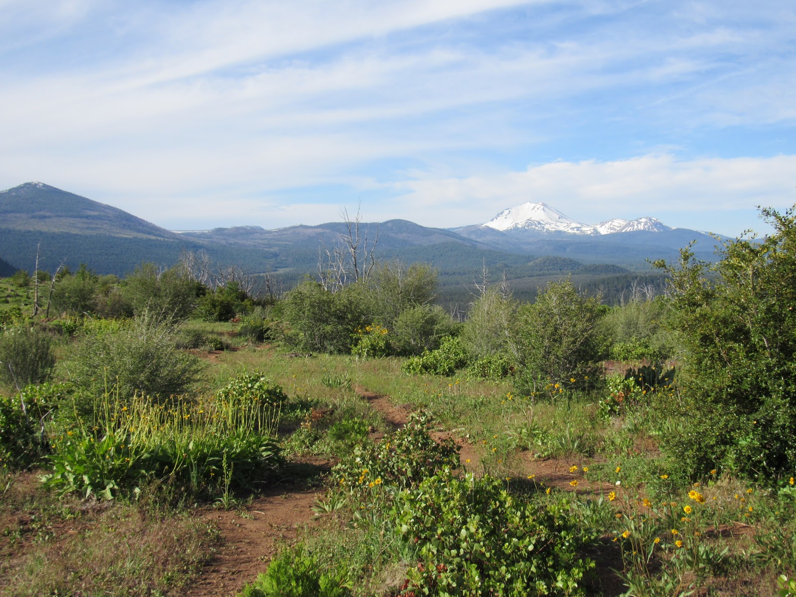 Vaughn the Road Again Hat Creek Rim Overlook ↔ Old Station, California