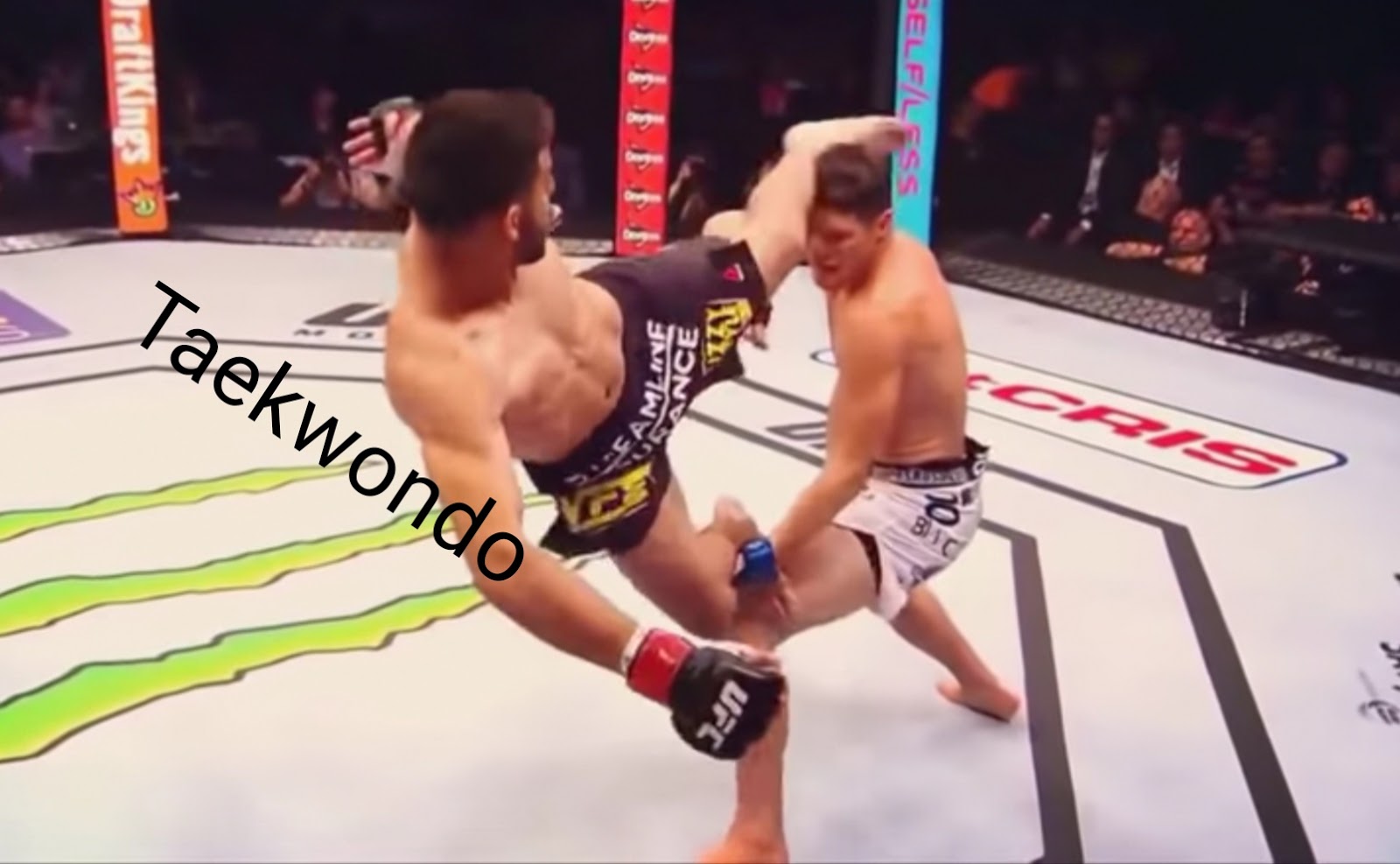 Taekwondo black belts competing in UFC 세계 태권도 가족