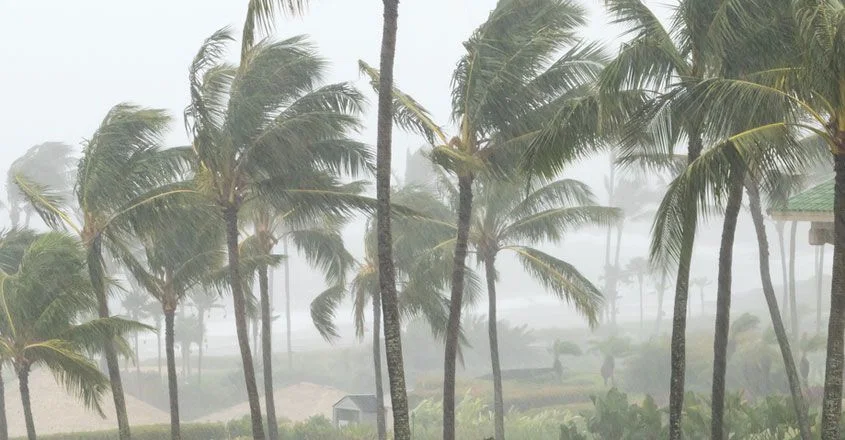 കനത്ത മഴ തുടരുന്നു; മലപ്പുറത്തും കോഴിക്കോട്ടും ഓറഞ്ച് അലര്‍ട്ട് | Heavy rain continues; Orange alert for Malappuram and Kozhikode