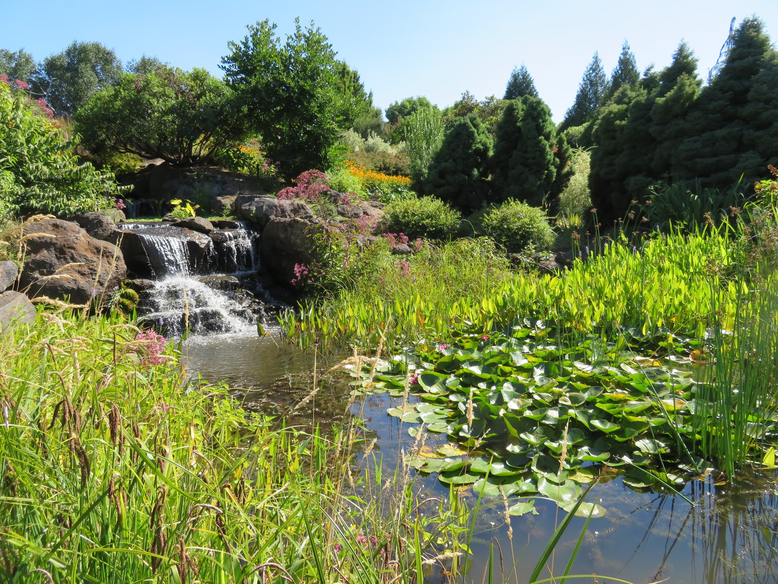 Let S Go The Oregon Garden