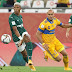 Globo bate audiência da final da Libertadores com Palmeiras no Mundial de Clubes