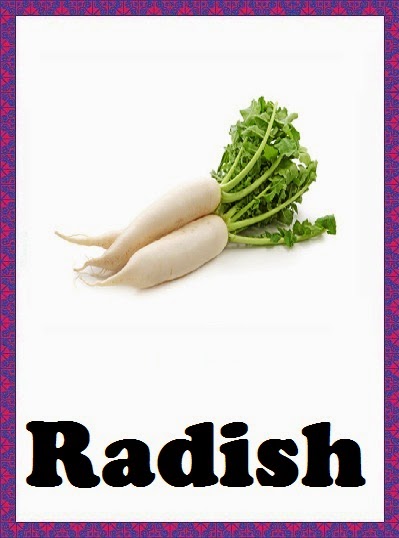 Radish flashcards for kids. Листок дайкона. Radish перевод. Radish перевод. , репа, морковь, дайкон.