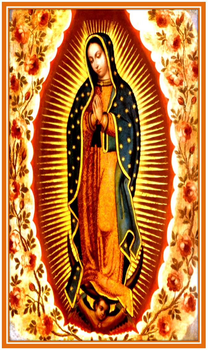 Comunidade Católica Milagre da Vida NOSSA SENHORA DE GUADALUPE Comunidade Católica Milagre da Vida NOSSA SENHORA DE GUADALUPE