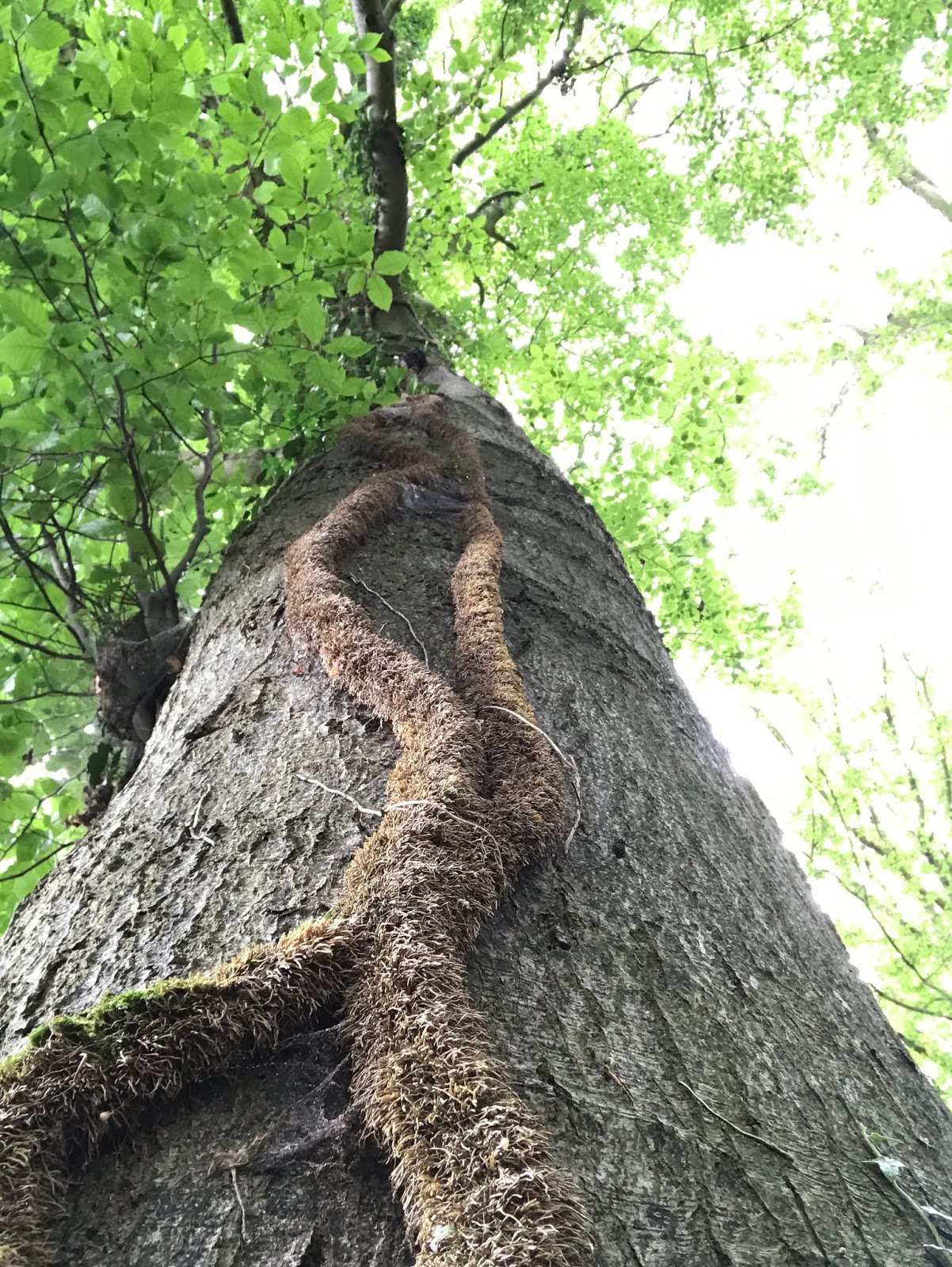 Fruhlingskindermama Familienauszeit An Der Mecklenburgischen