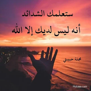 صور حلوه