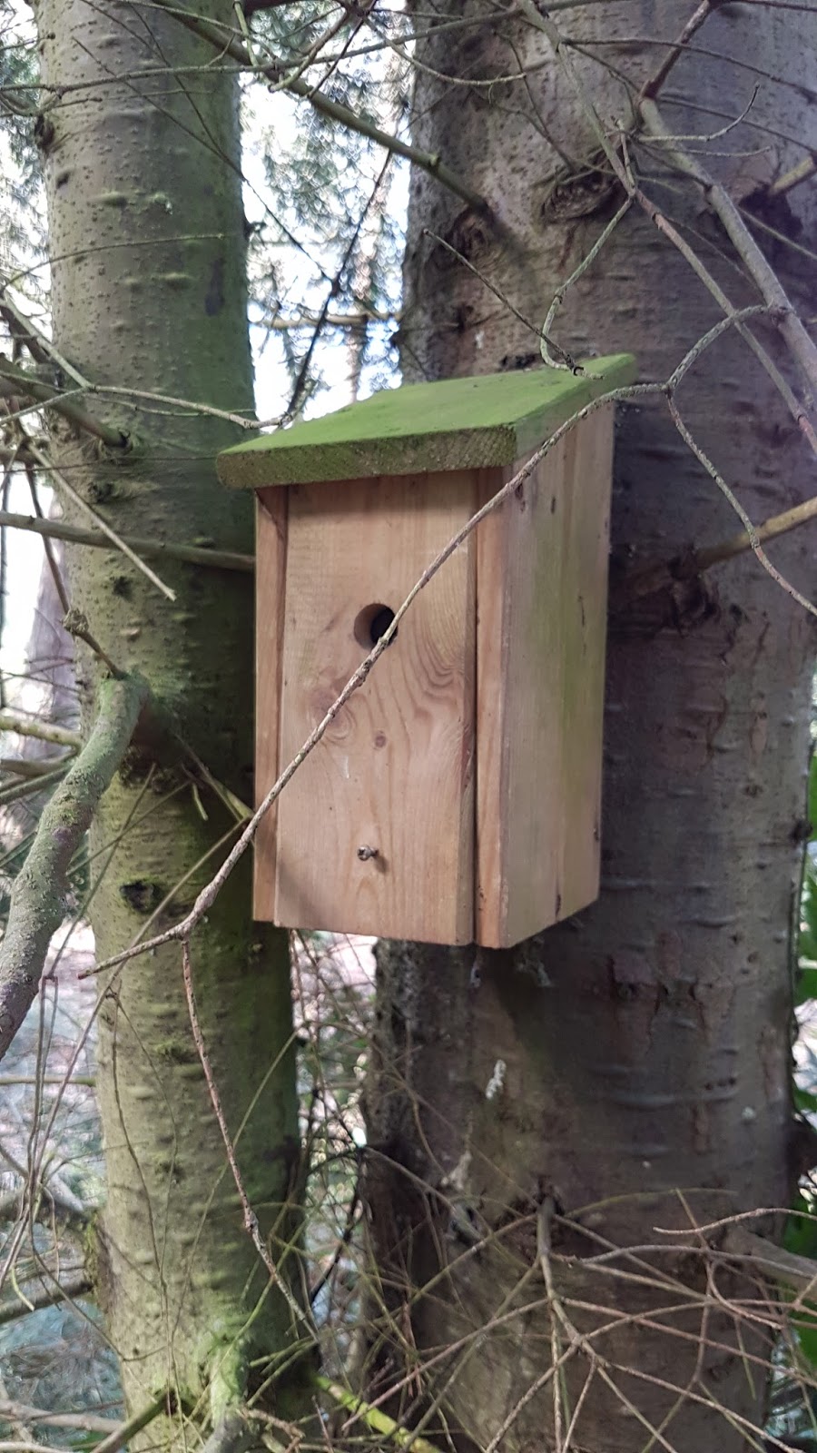 Geocache Bird House 3