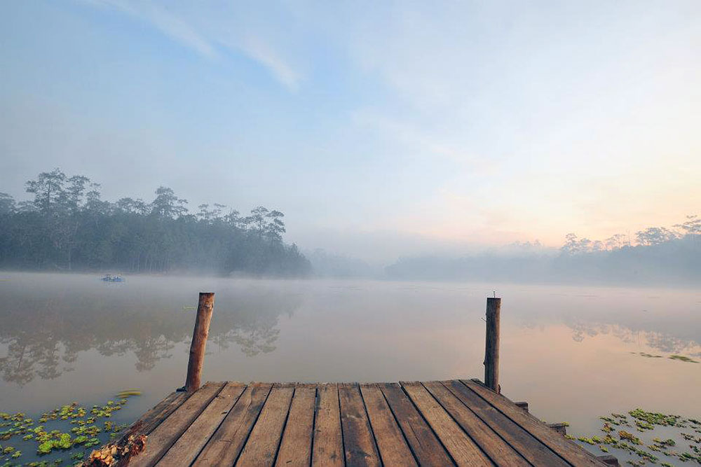 Dream Destination Thailand : Ban Wat Chan Pine Forest
