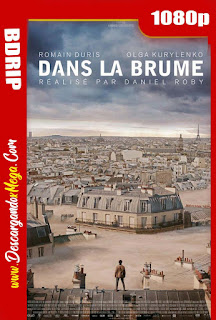 Desastre en París (2018) BDRip 1080p Latino 