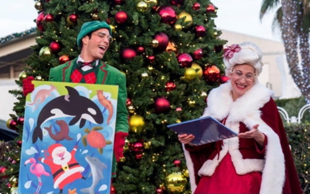 On The Go Oc Things To Do With Your Family Sea World San Diego