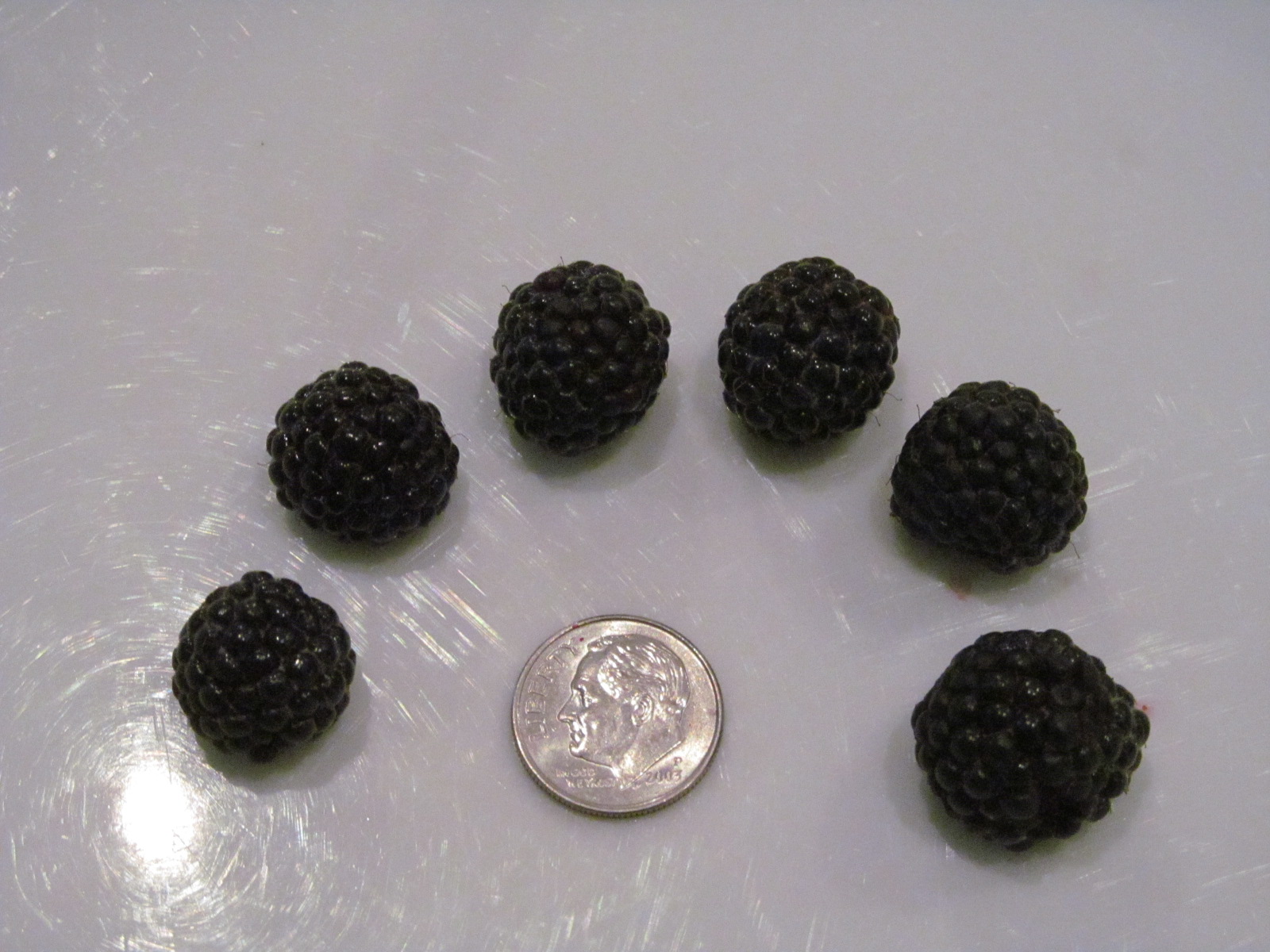 East Coast/West Coast/North Coast: Black Raspberries