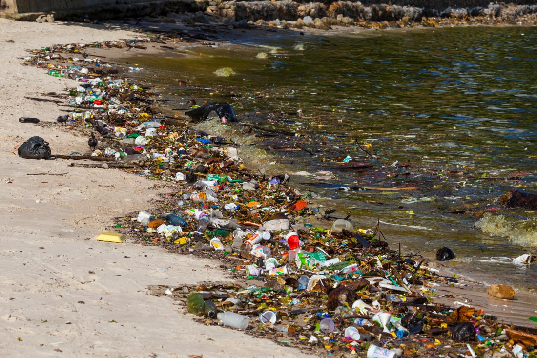 The Science of the Water Pollution