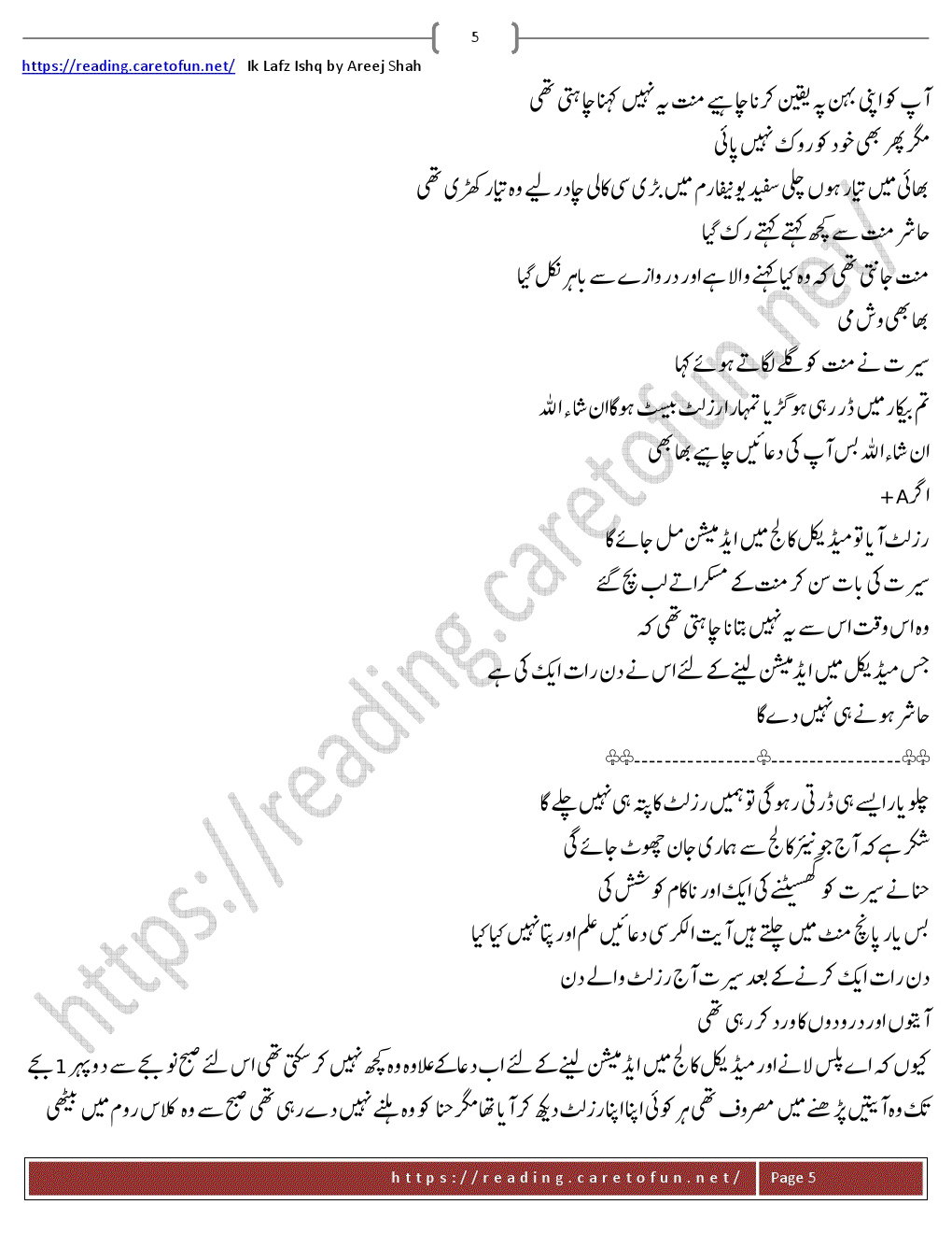 areej shah novel