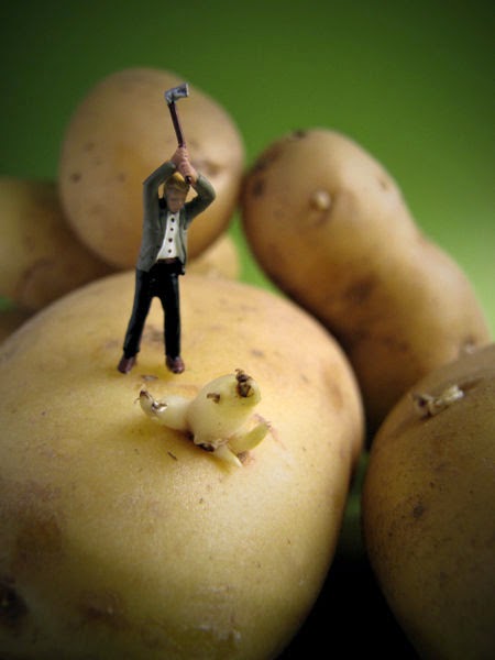 Πατάτες: 10 χρήσεις που δεν ξέρουμε
Πατάτες: 10 χρήσεις που δεν ξέρουμε